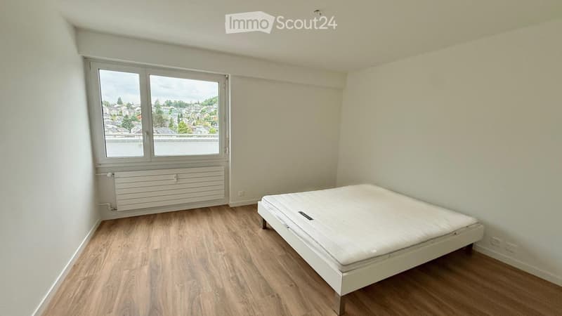 Room in a shared apartment in the center of Lucerne (5)