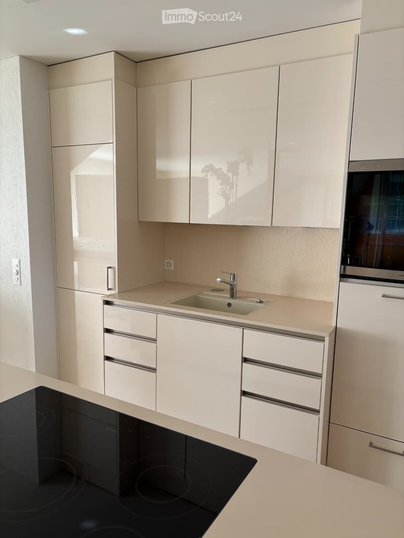 Appartement mansardé (3)