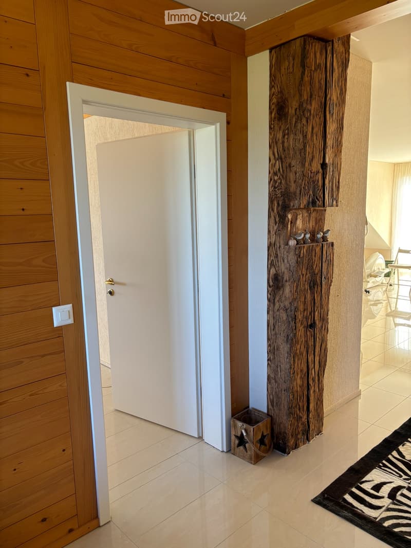 Loft - Dachwohnung (3)