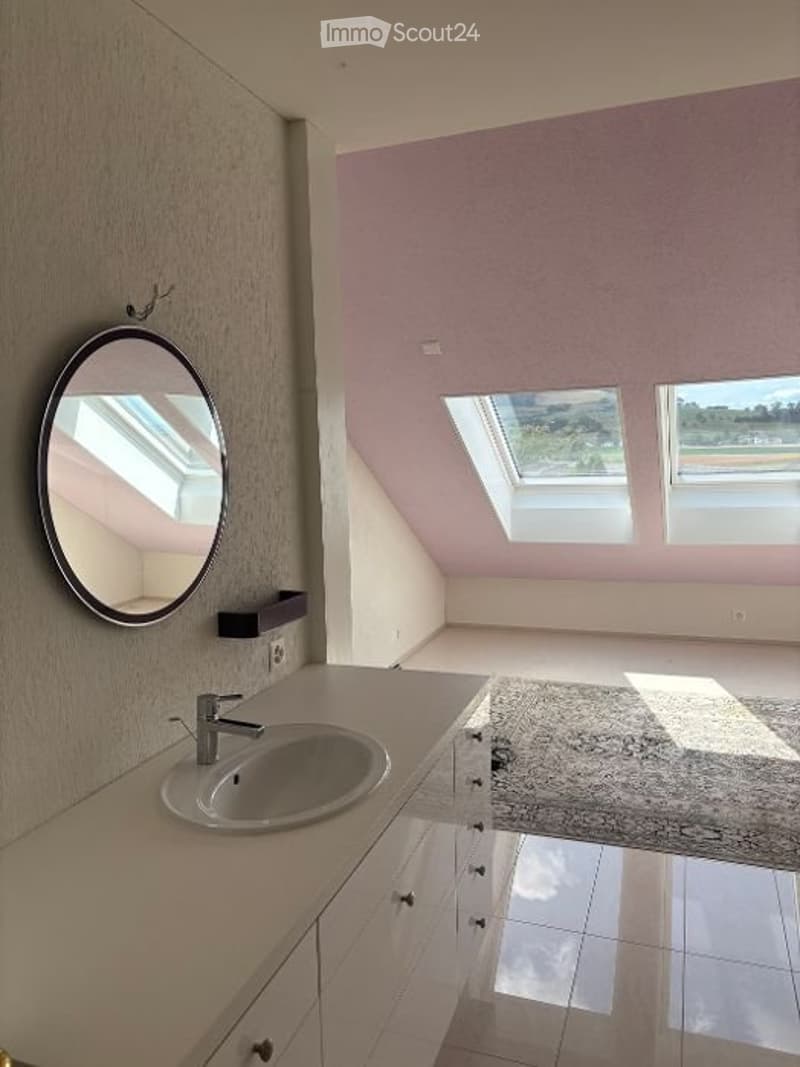 Loft - Dachwohnung (5)