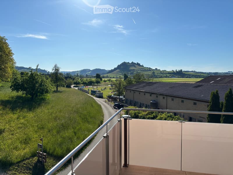 Appartement mansardé (1)