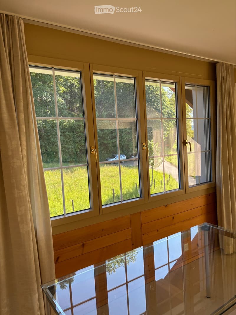 Appartement mansardé (2)