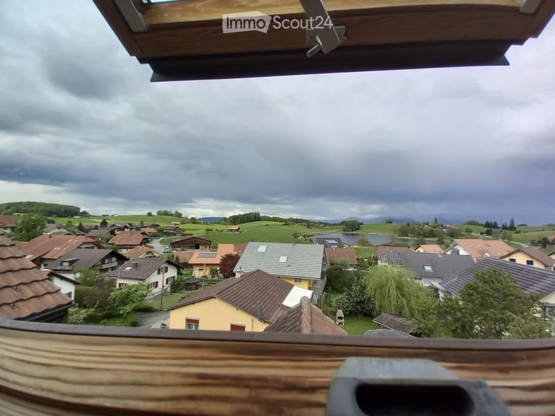 Appartamento 2 camere nel Grünen Adlerhorst Forst - Längenbühl (5)