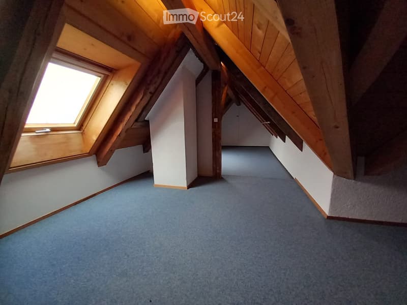 Appartamento 2 camere nel Grünen Adlerhorst Forst - Längenbühl (4)
