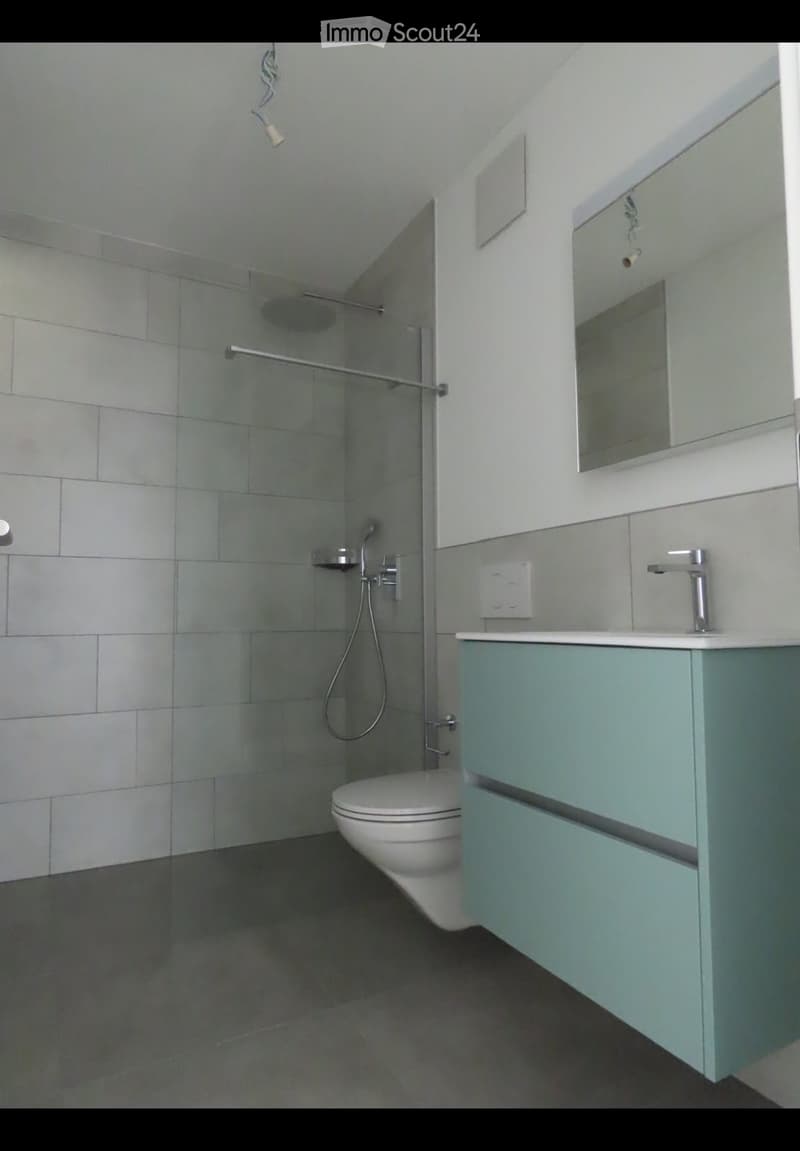 Affittasi 3.5 Lumino (5)