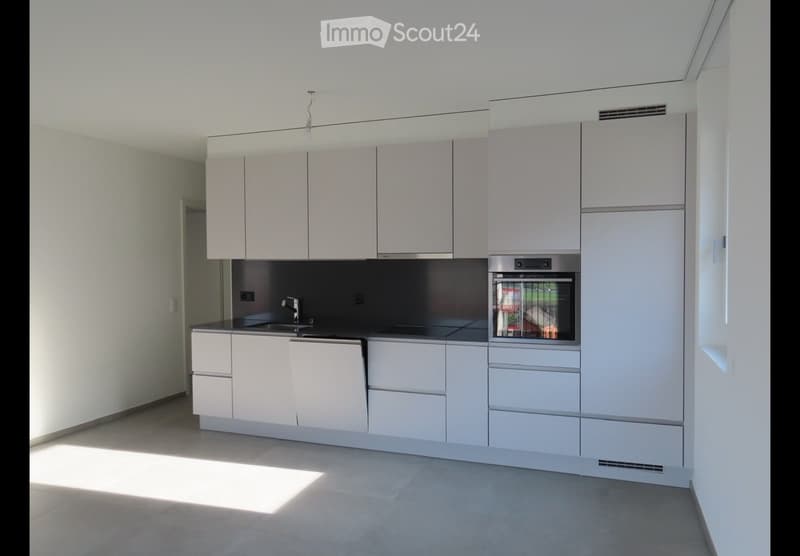 Affittasi 3.5 Lumino (2)
