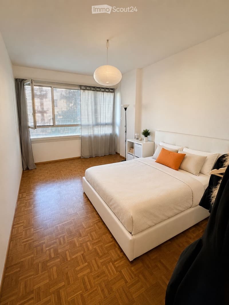 SUBENTRANTE - Appartamento 1,5 Centro Lugano (3)