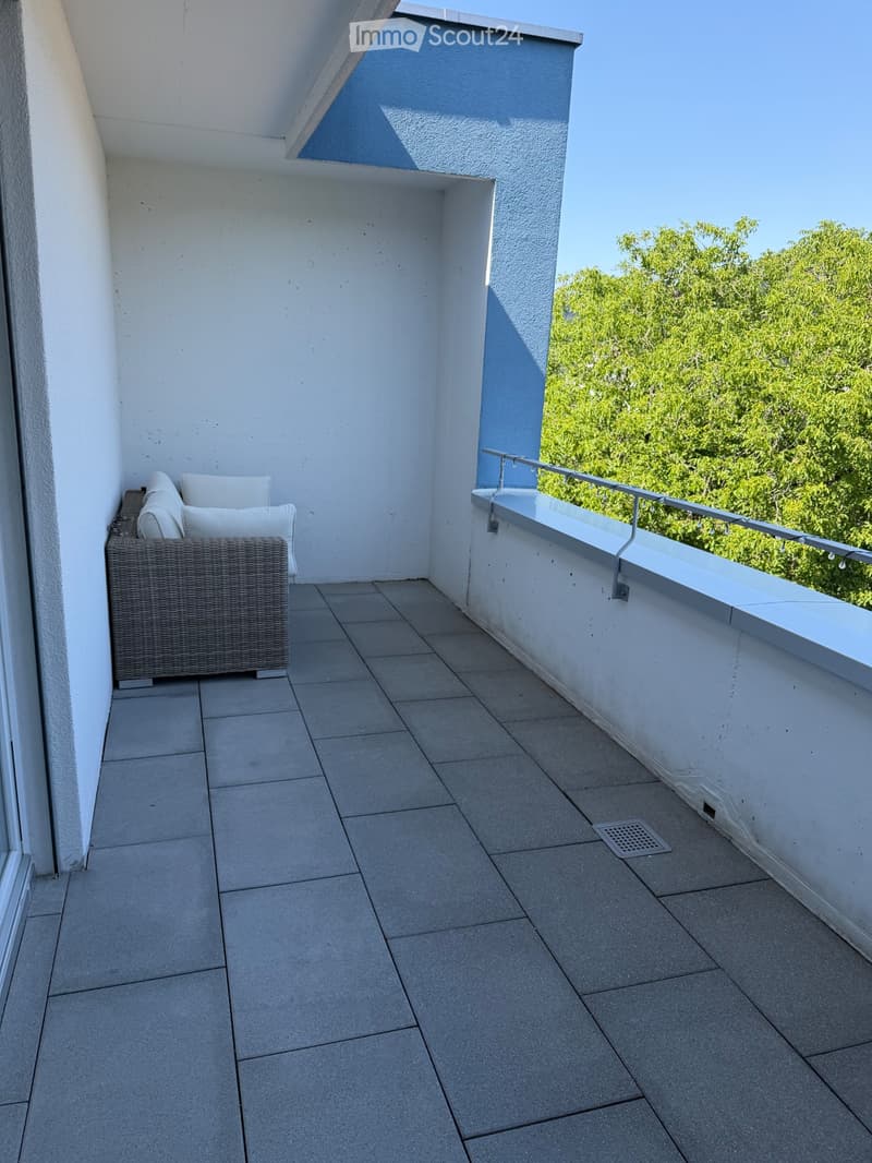 Above the roofs of Reiden with a dreamy sun terrace (5)