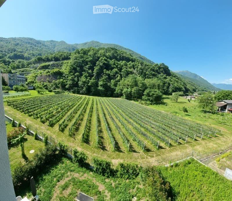 Bel 2.5 locali in posizione tranquilla (4)