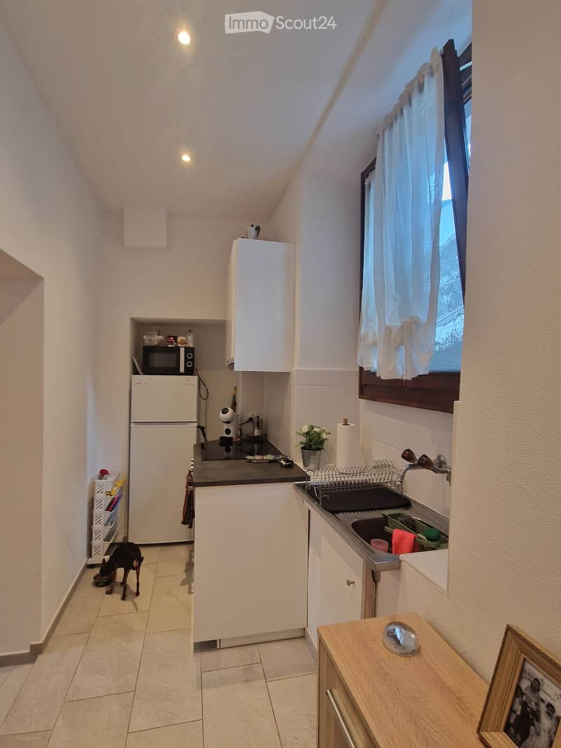 Appartamento 2 locali a Capolago (2)
