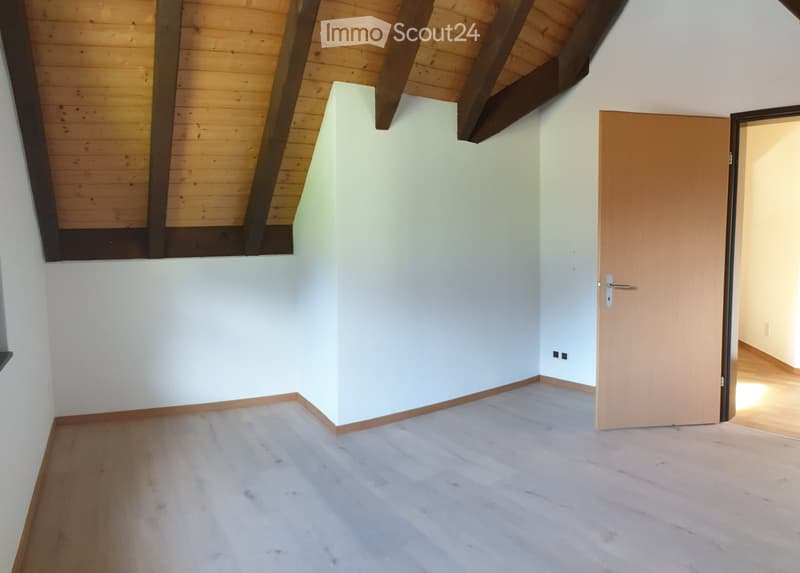Spacious 4.5-room maisonette, 62sqm terrace, alpine style (2)