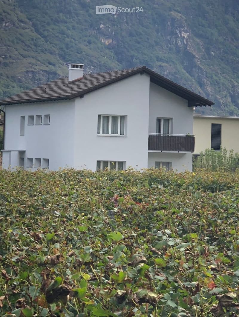Affittasi appartamento in casa bifamiliare (5)