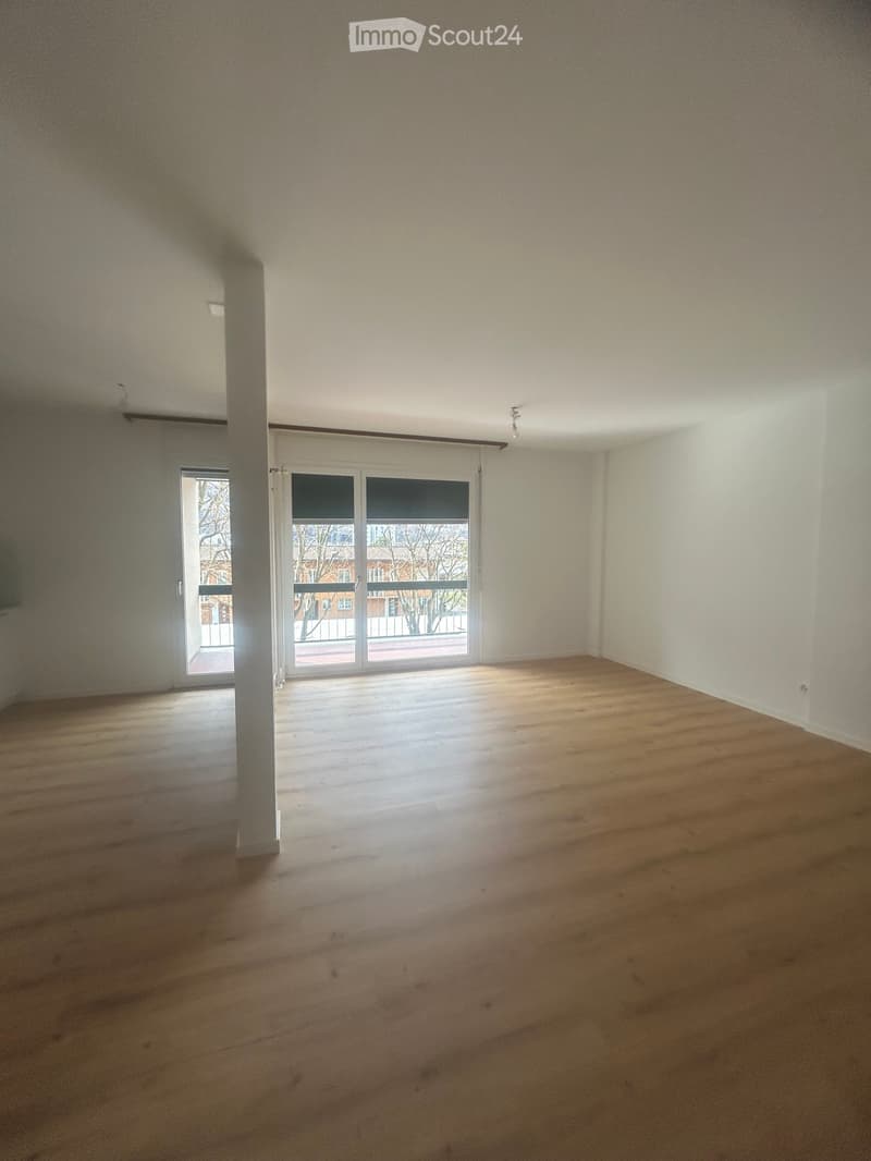 Affittasi appartamento ristrutturato 3.5 locali (3)