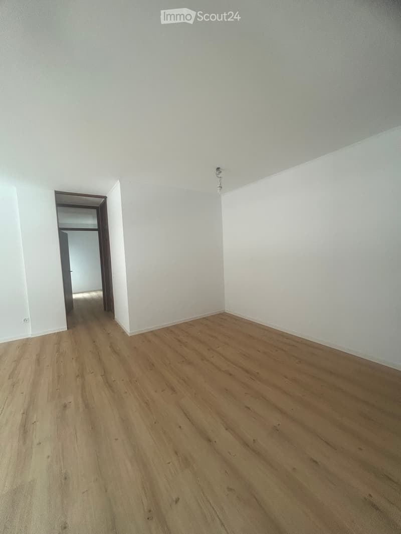 Affittasi appartamento ristrutturato 3.5 locali (5)