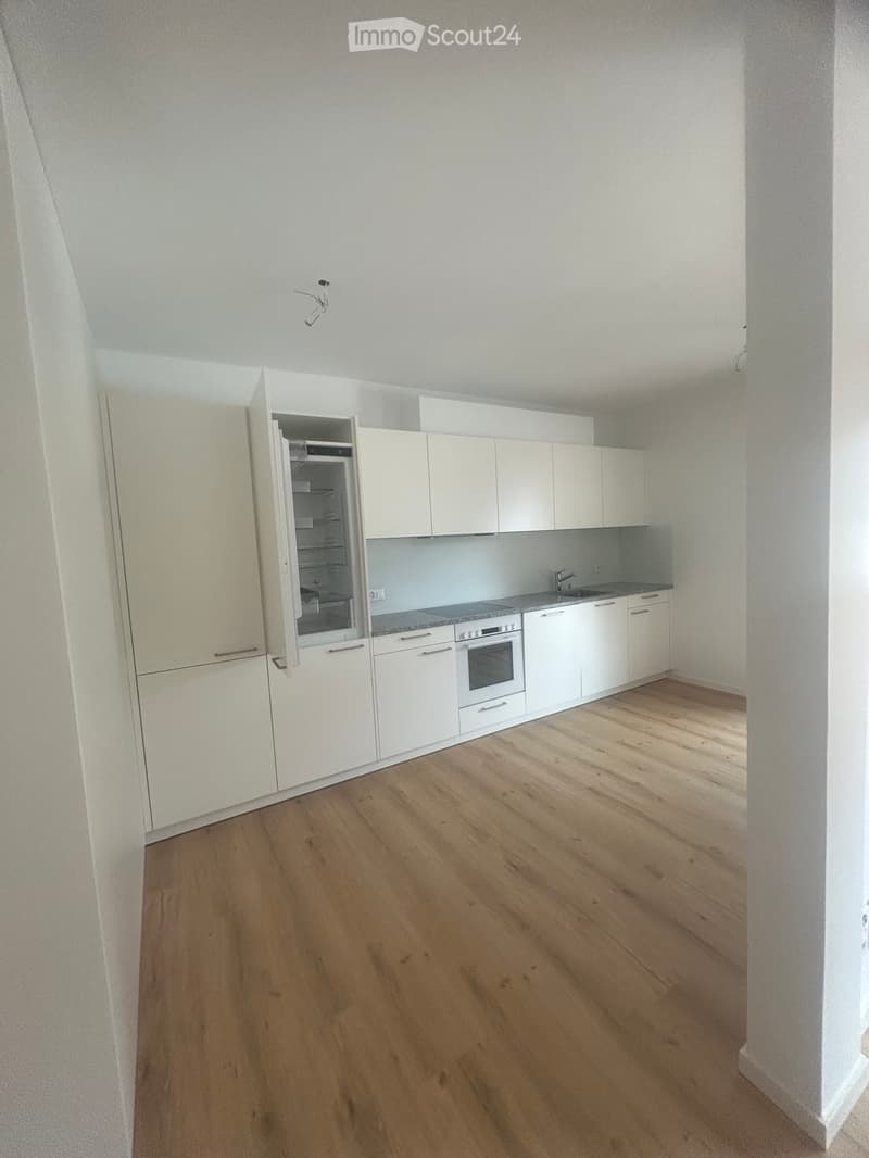 Affittasi appartamento ristrutturato 3.5 locali (2)
