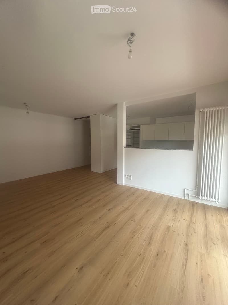 Affittasi appartamento ristrutturato 3.5 locali (4)