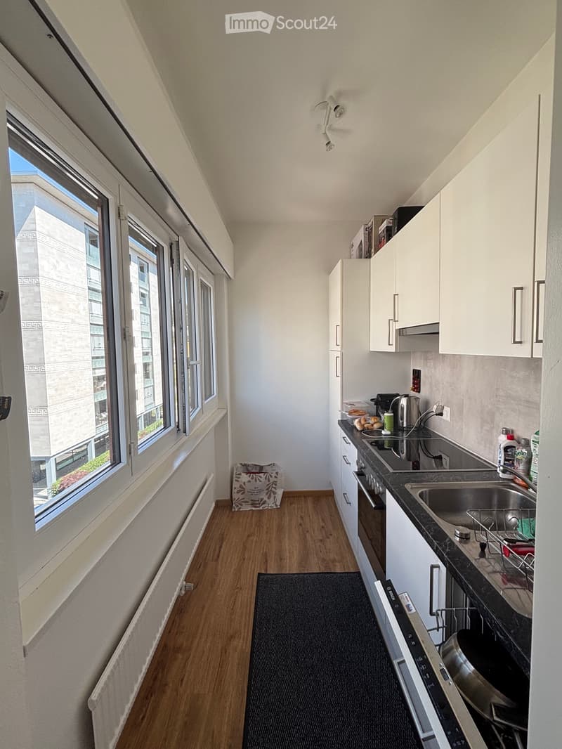 Appartement 3.5 au centre de Lugano (4)