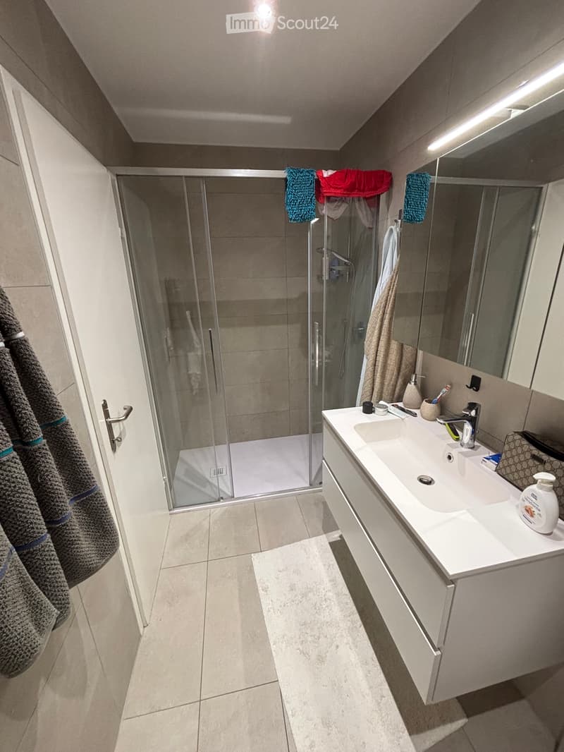 Appartement 3.5 au centre de Lugano (5)