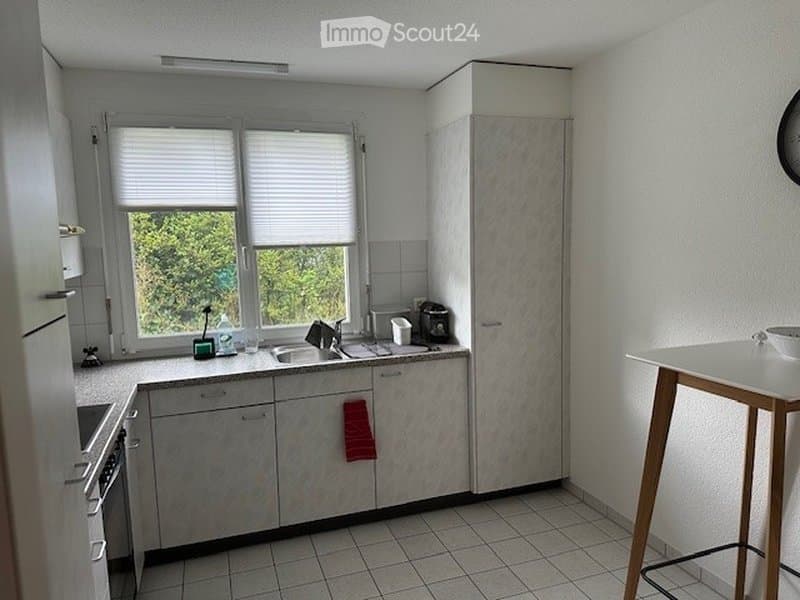 3-Zi. Wädenswil Bergblick & Sonnenbalkon ab Mitte Juli (2)