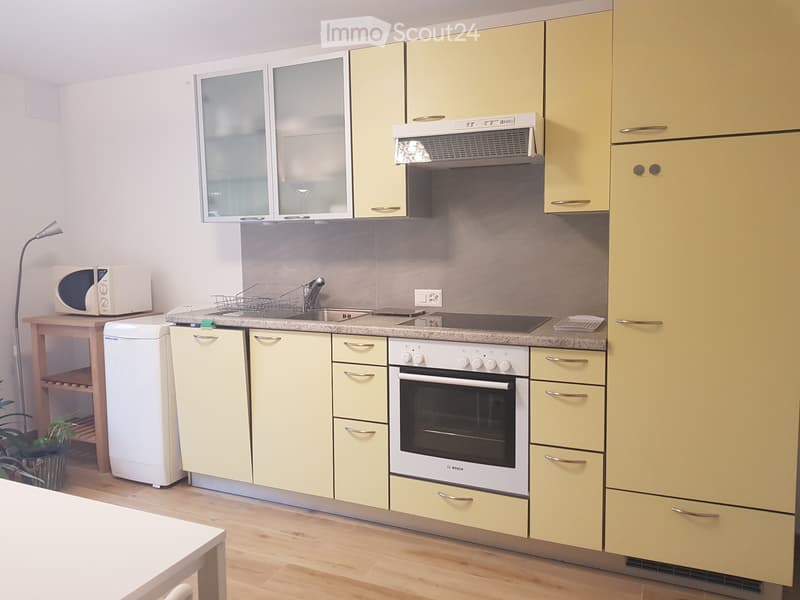 Miete neues Apartment 2 Zimmer in Claro (2)