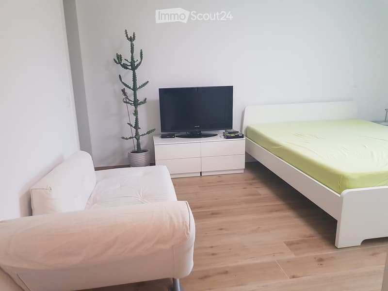 Miete neues Apartment 2 Zimmer in Claro (3)