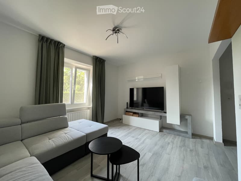 Rent apartment 2.5 rooms in Serocca d'Agno (2)