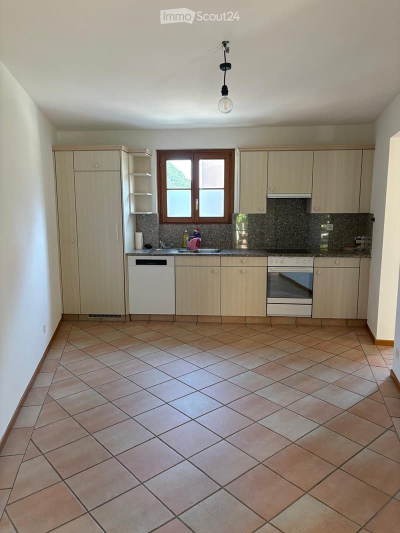 Casa contigua Vira Mezzovico (3)