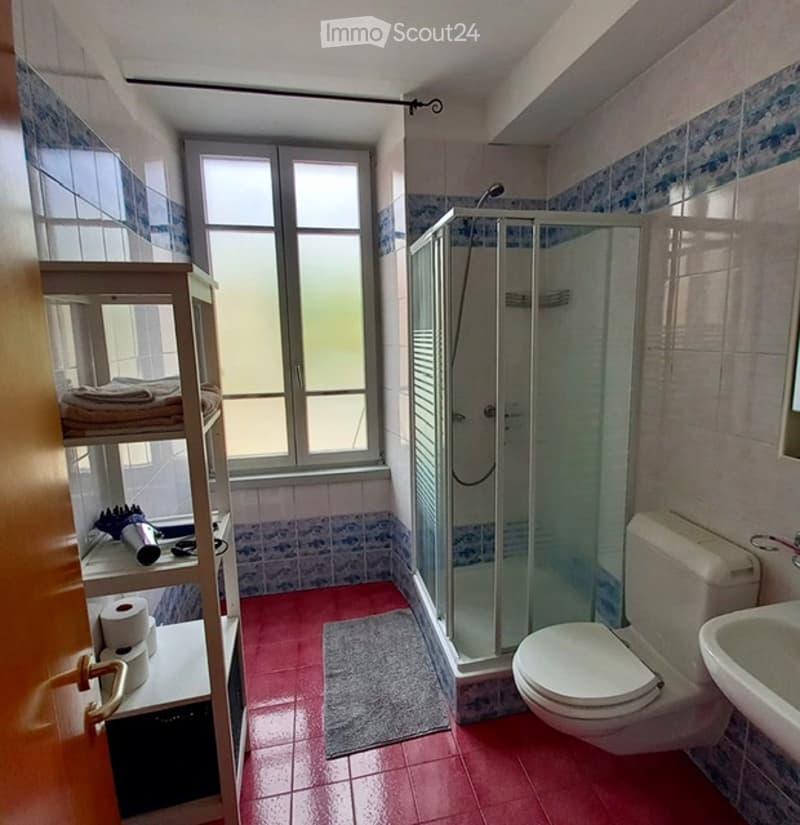 FURNISHED STUDIO LUGANO (5)