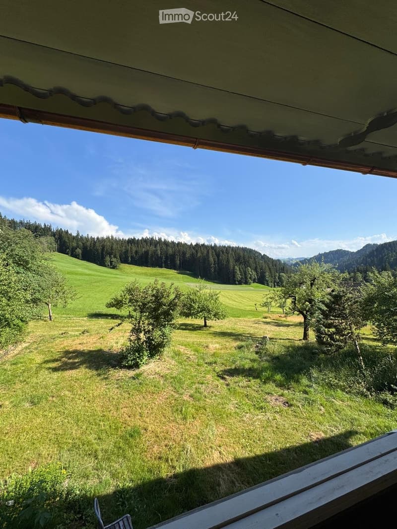 Wohnen, wo andere Ferien machen -  in 60 Min. Bern/Luzern HB (3)