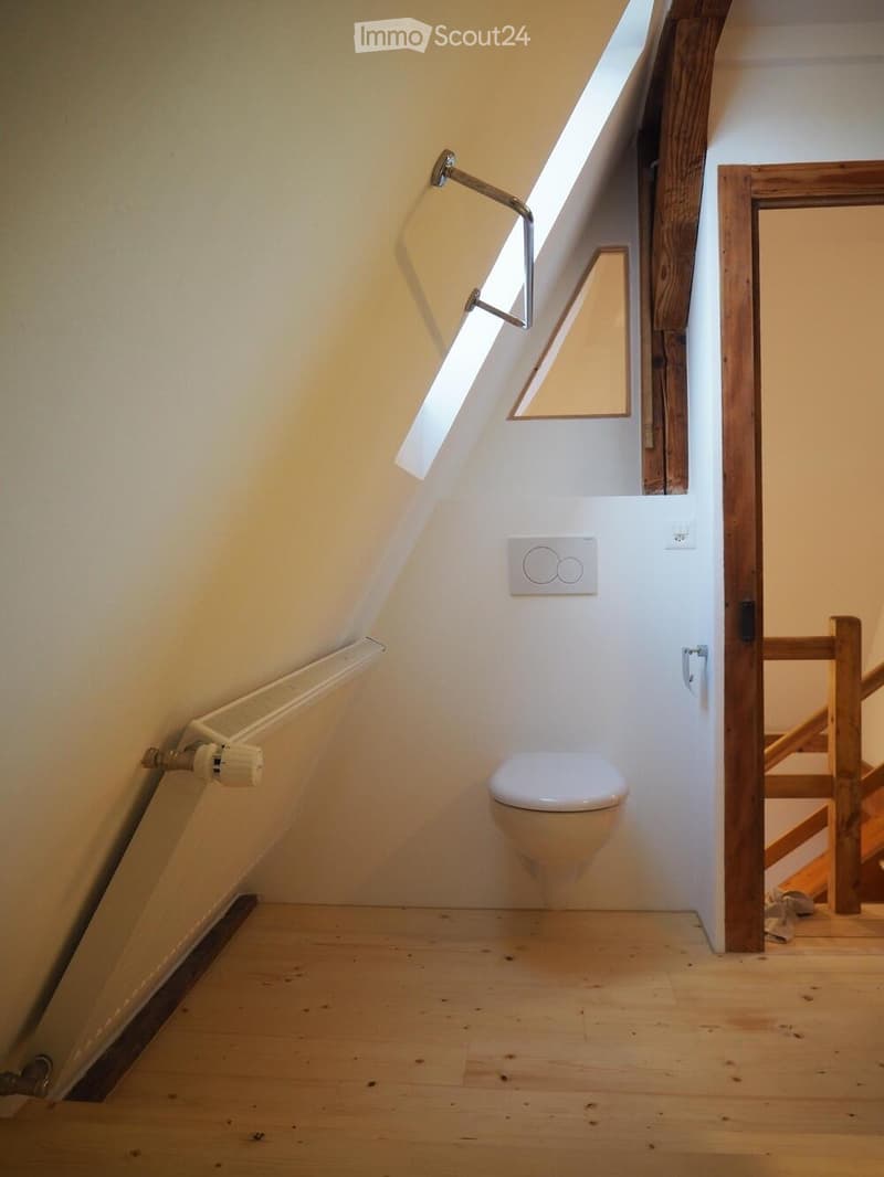 Bel appartement 2 pièces, central et calme (5)