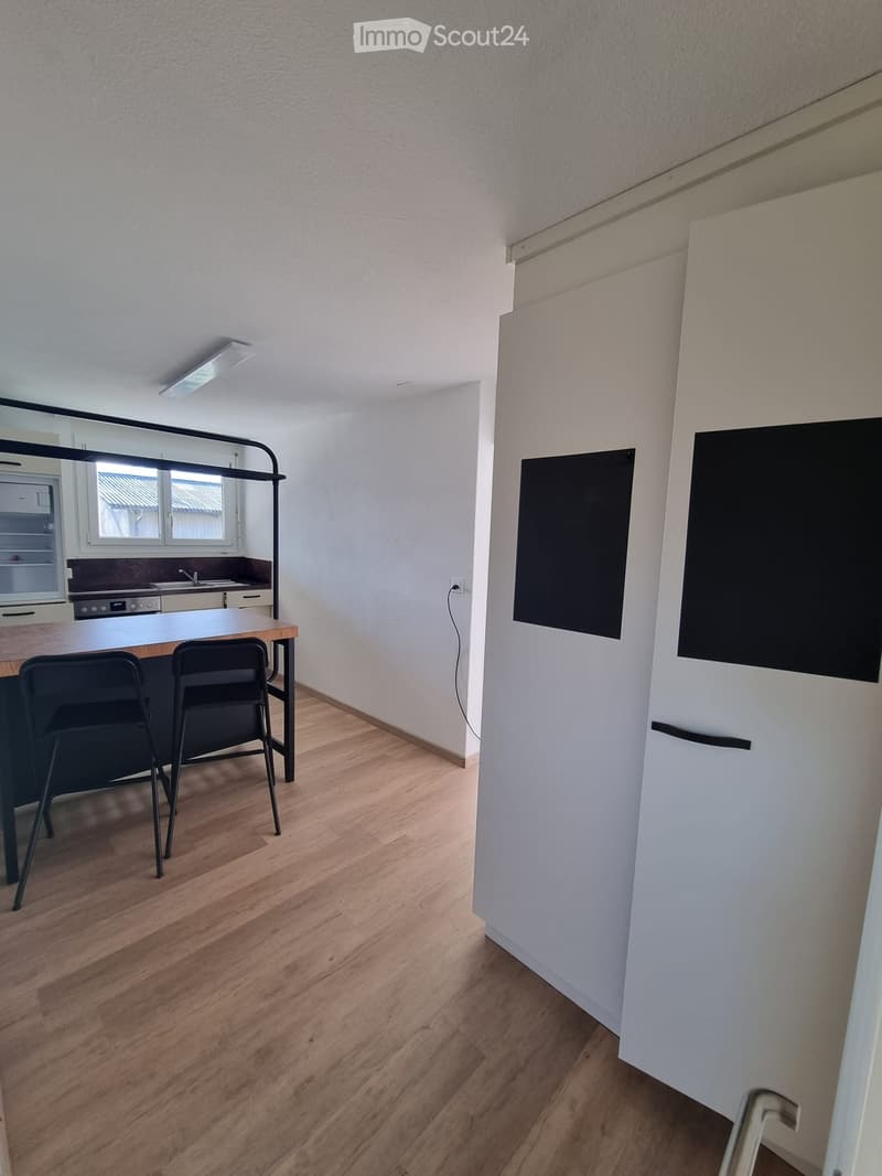 Beautiful 2.5 room apartment (4)