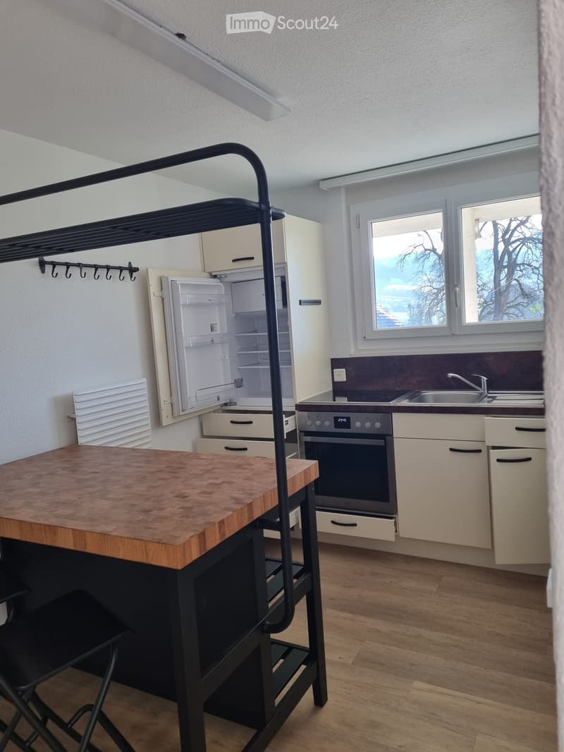 Beautiful 2.5 room apartment (5)