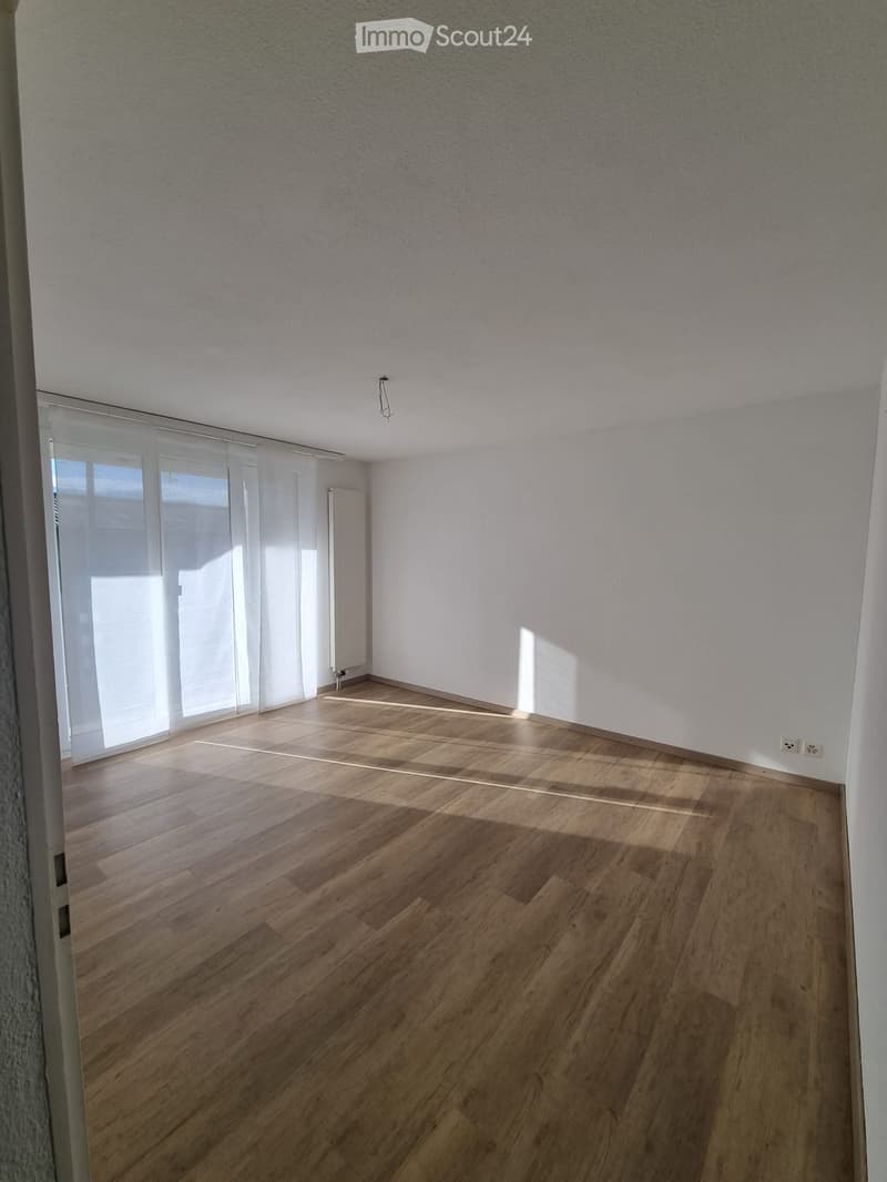 Beautiful 2.5 room apartment (6)