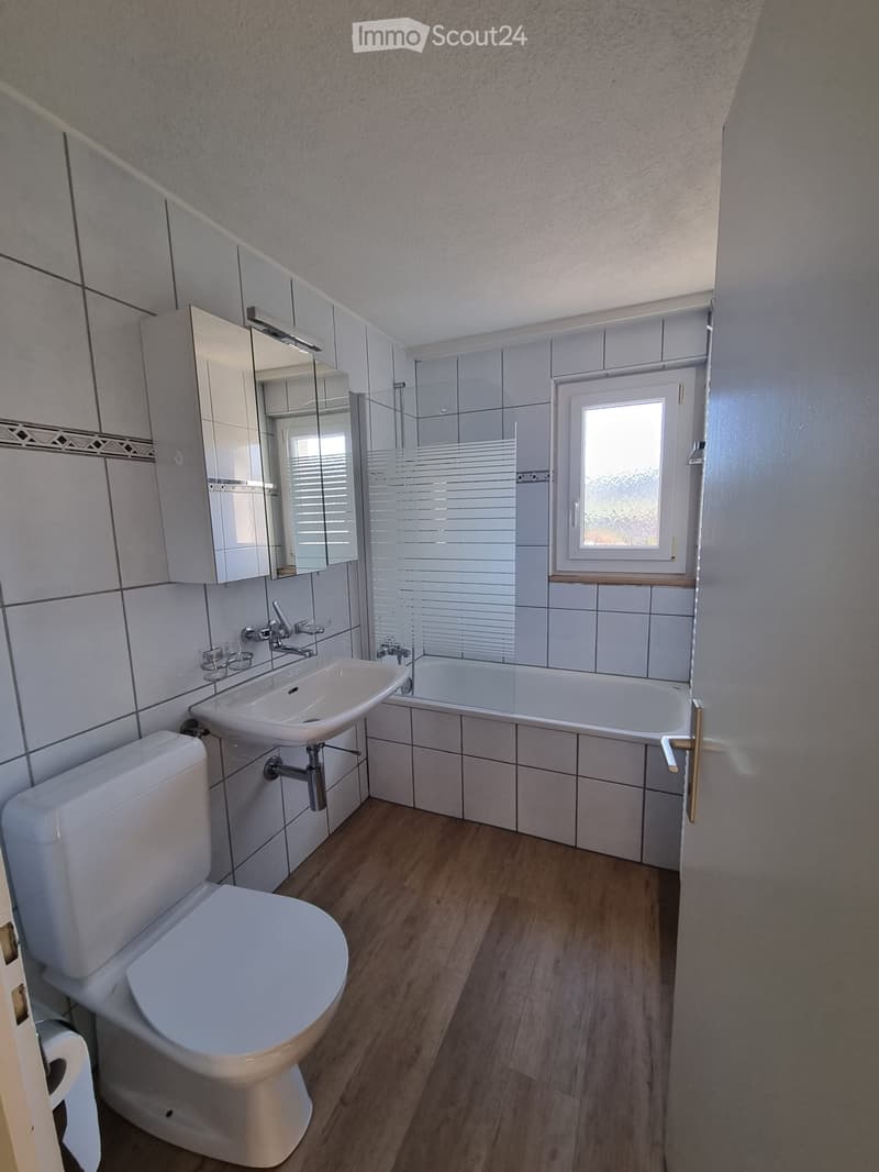Beautiful 2.5 room apartment (8)