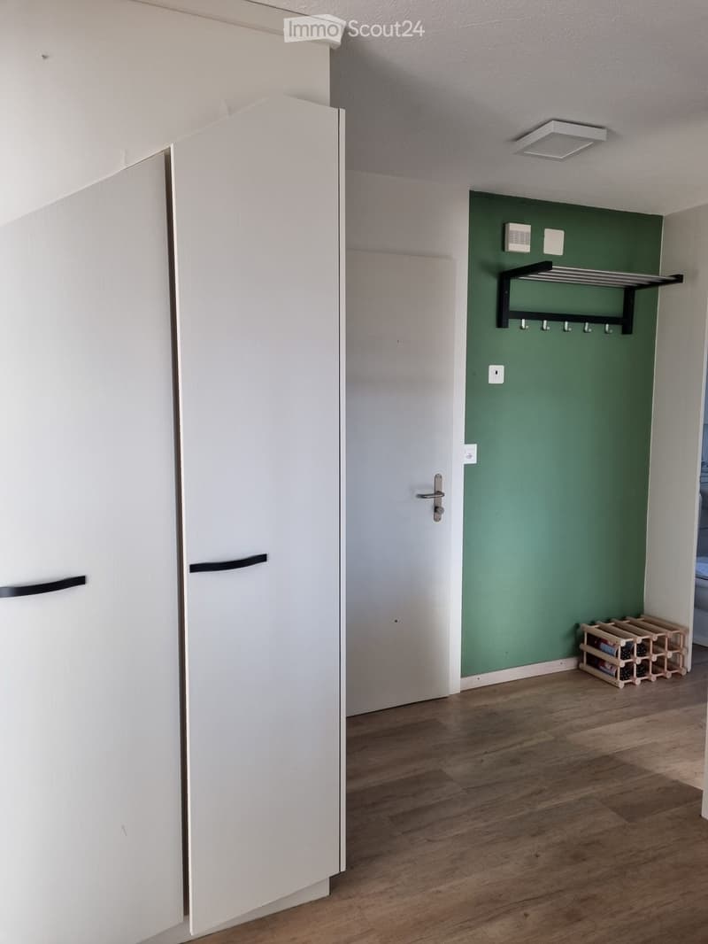 Beautiful 2.5 room apartment (3)