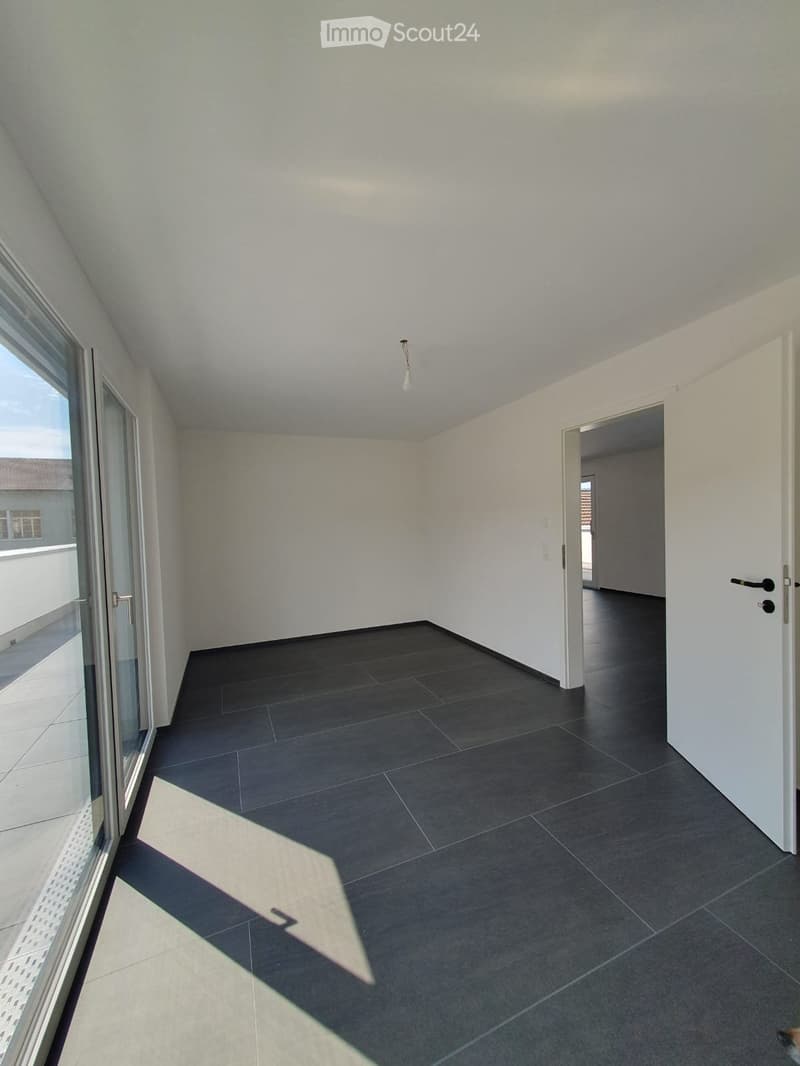 Moderne 3.5-Zimmer Attikawohnung mit schöner Aussicht (3)