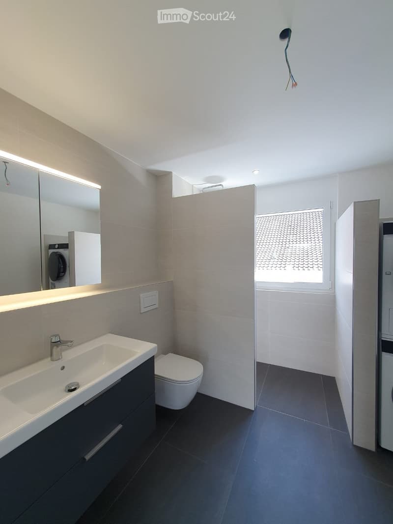 Moderne 3.5-Zimmer Attikawohnung mit schöner Aussicht (4)