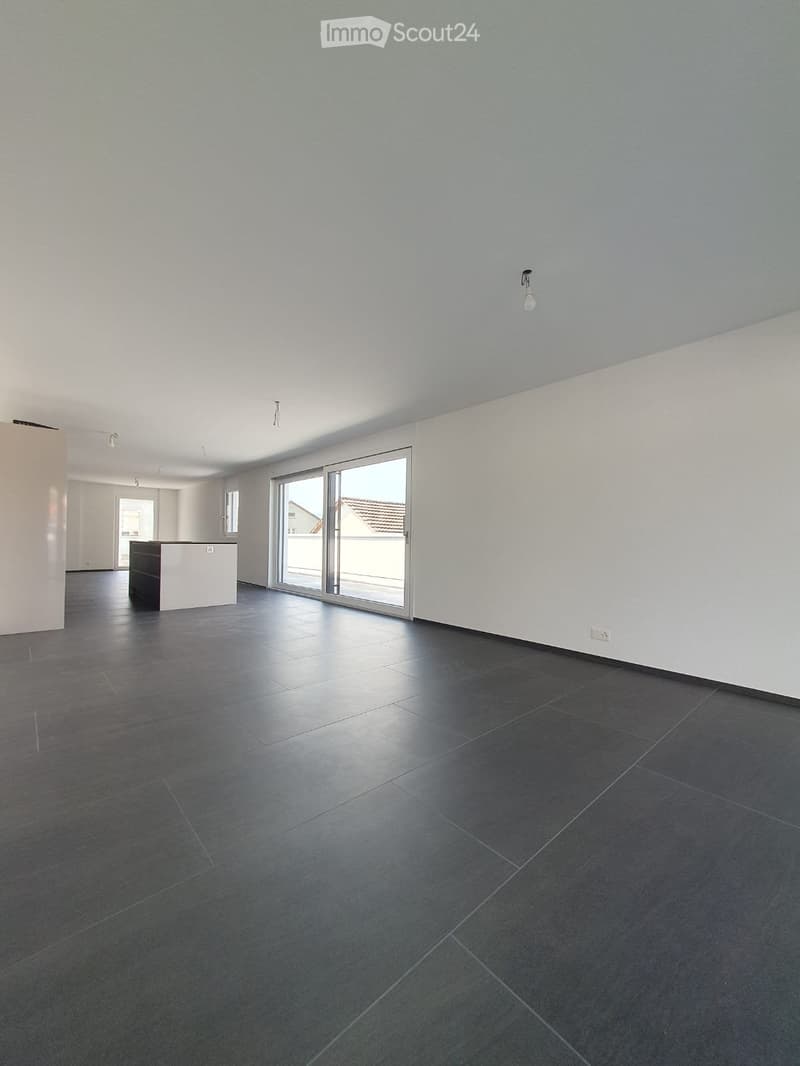 Moderne 3.5-Zimmer Attikawohnung mit schöner Aussicht (2)