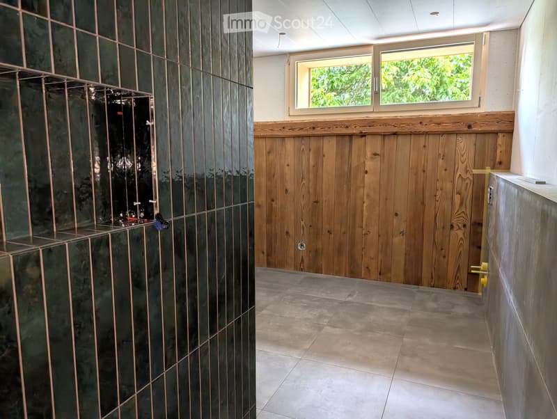5.5 room apartment for rent (5)