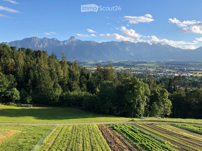 Beautiful bright 3 1/2 room apartment in the green in Steffisburg (1)
