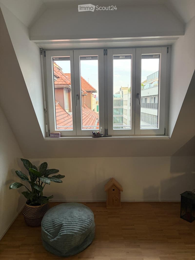 Dream city apartment in Baden 3.5 rooms, 115 m² 2 bathrooms (4)