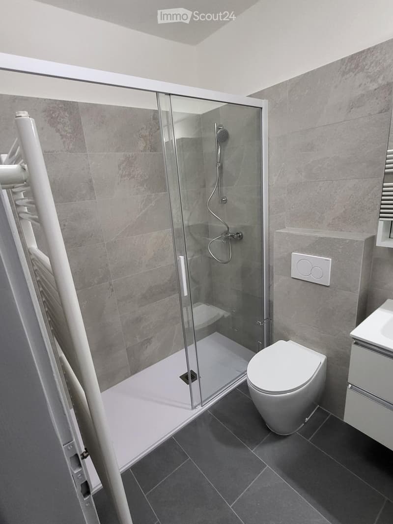 Tesserete, 4.5-room apartment on the 1st floor, no. 1 for rent (4)