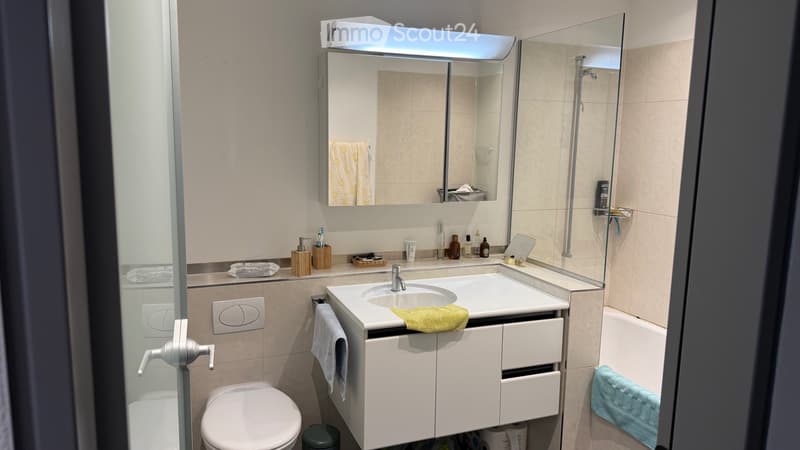 3z möblierte zentral Luzern 3 rooms furnished central Lucern (2)