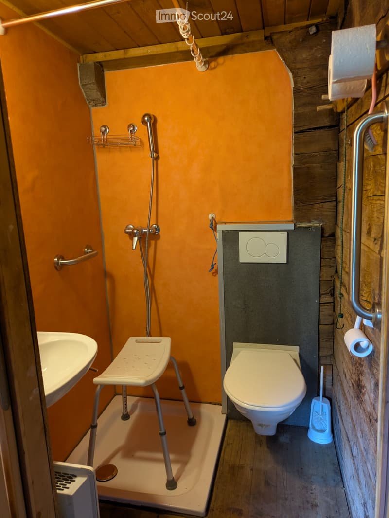 Charmante Walliser 3.5 Zimmerwohnung (4)