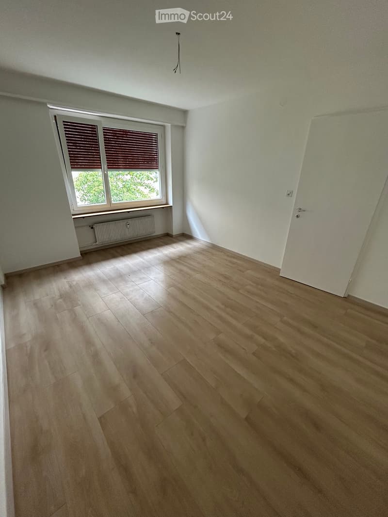 Appartamento di 3 camere in posizione centrale (3)