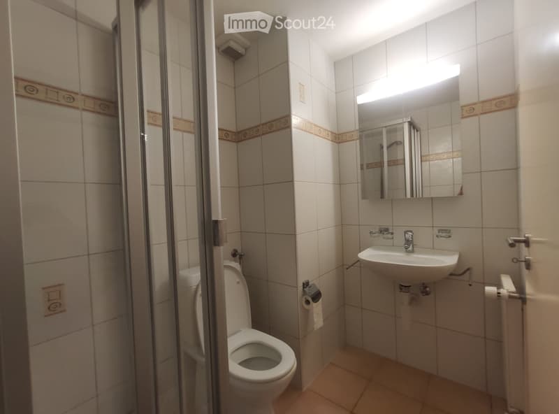 À louer 2 pièces appartement *À partir de maintenant* (4)