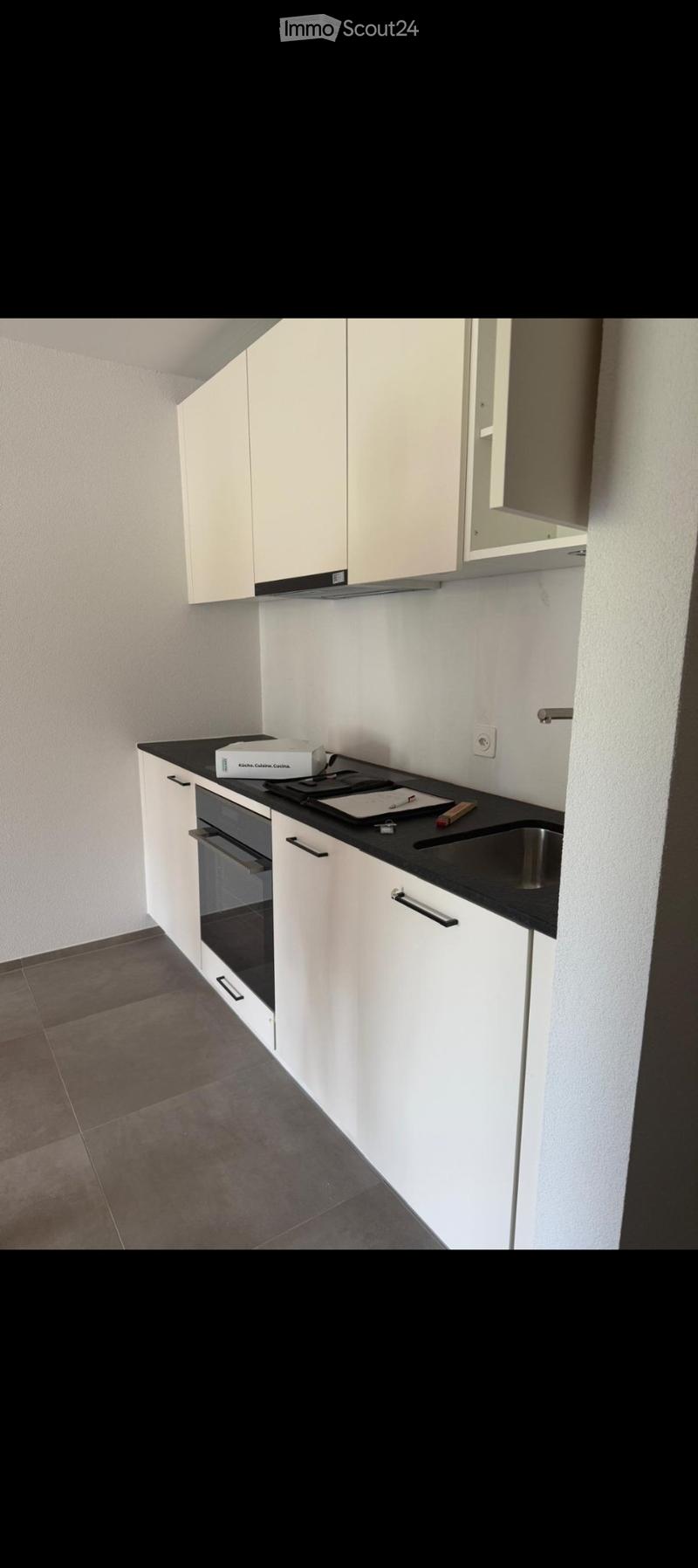 Appartement Fraîchement Rénové Cherche un Sous-Locataire à Partir du 1.8.2026 (3)