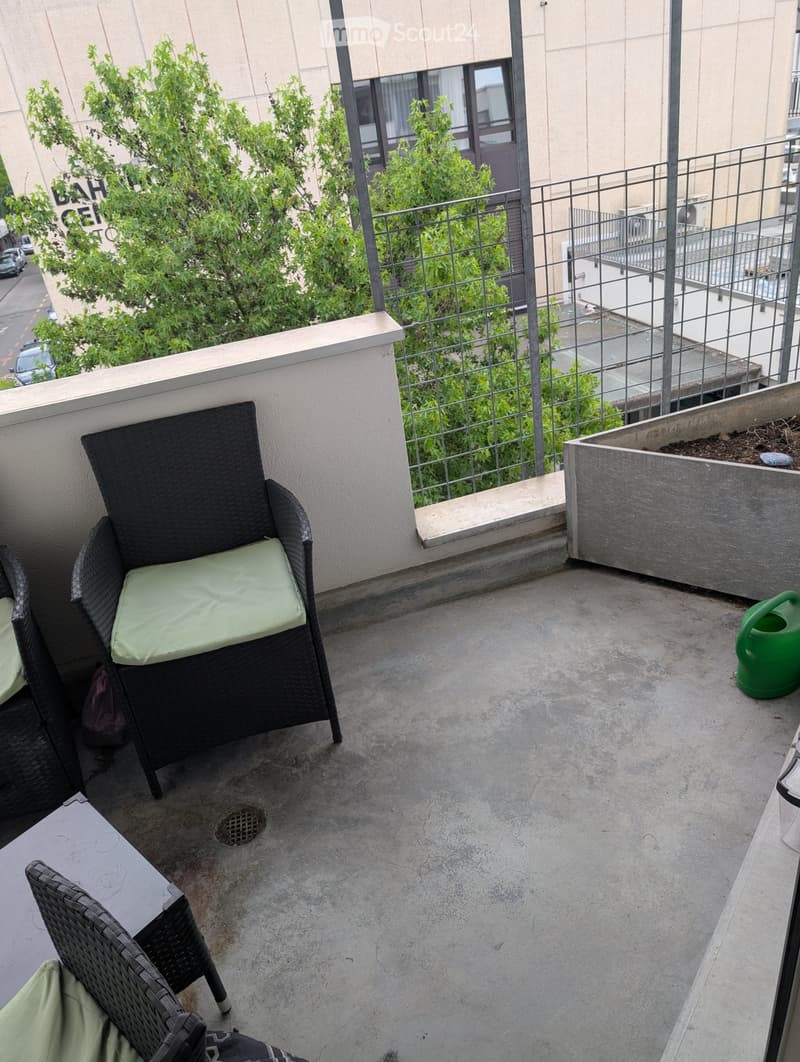 Appartement Fraîchement Rénové Cherche un Sous-Locataire à Partir du 1.8.2026 (5)