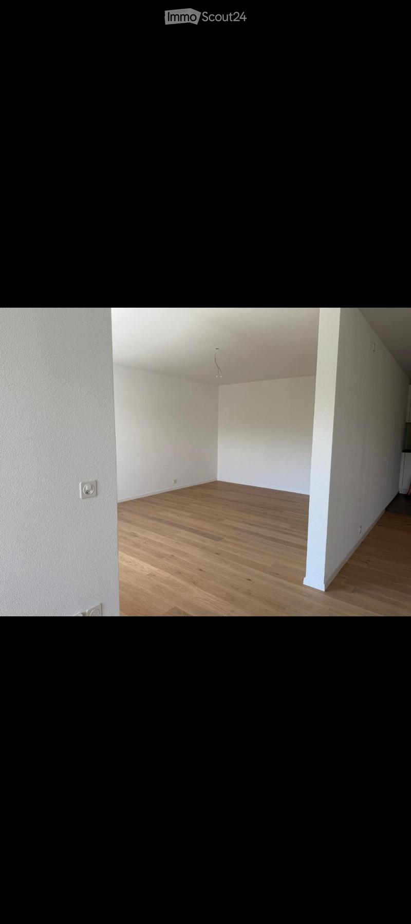 Appartement Fraîchement Rénové Cherche un Sous-Locataire à Partir du 1.8.2026 (2)