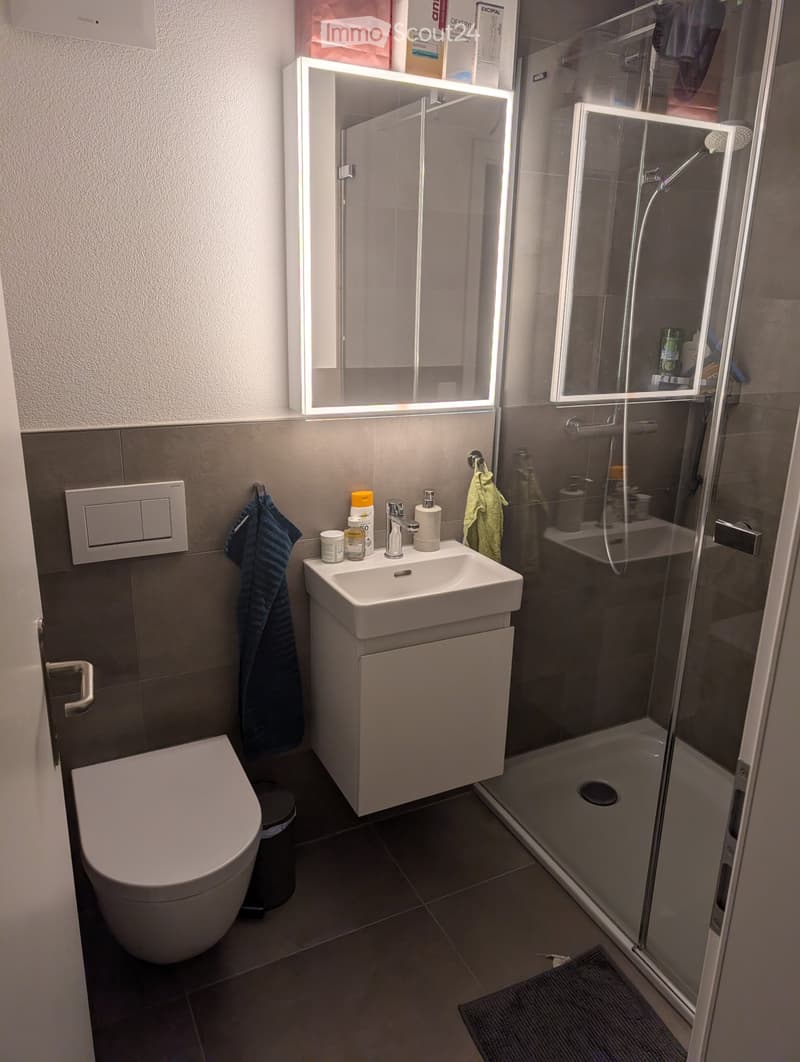 Appartement Fraîchement Rénové Cherche un Sous-Locataire à Partir du 1.8.2026 (4)